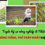 2022 Nên Đi Xklđ Nước Nào Nhật Bản Không Tốt Nhất