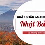 Bao Nhiêu Tuổi Mới Đi Xuất Khẩu Lao Động Được