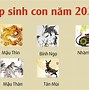 Bố Mẹ Sinh Năm 1993 Sinh Con Năm 2024 Có Tốt Không