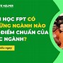 Các Ngành Đào Tạo Tại Đại Học Fpt