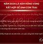 Giáp Thìn 2024 Sinh Tháng Nào Tốt