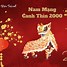 Tử Vi Tuổi Canh Thìn Nam Mạng Sinh Năm